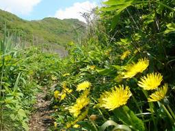 20060515_kakuda.jpg