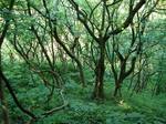 20060516_kakuda01.jpg