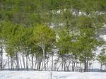 20060523_okutadami02.jpg
