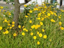 20060614_OgikawaStation.jpg