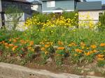 20060614_OgikawaStation01.jpg