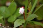 20060629_akamono01.jpg