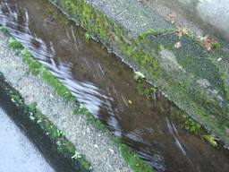 20060713_rain.JPG