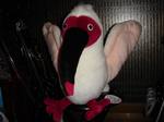 20060721_toki01.JPG