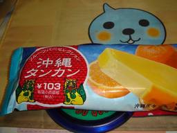 20060728_OkinawaTankan.JPG