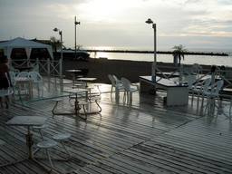 20060817_nef.JPG