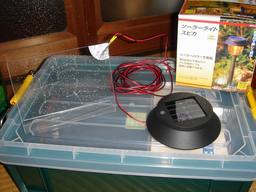 20060904_SolarStarPanel.JPG