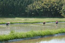 20060916_taue.jpg
