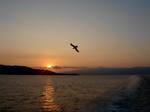 20061018_sunset01.jpg