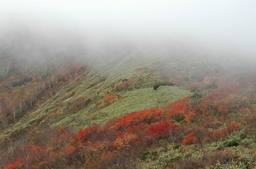 20061021_tairappyo.jpg
