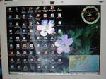 20061220_DH-ONE_U203.jpg