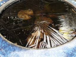 20070112_ice.jpg