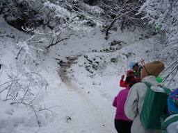 20070118_yuki.jpg