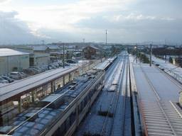 20070202_snow.jpg
