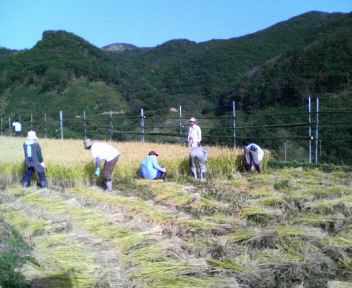 200610141413000.jpg
